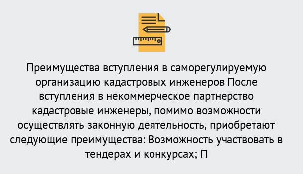 Почему нужно обратиться к нам? Тобольск Что дает допуск СРО кадастровых инженеров?